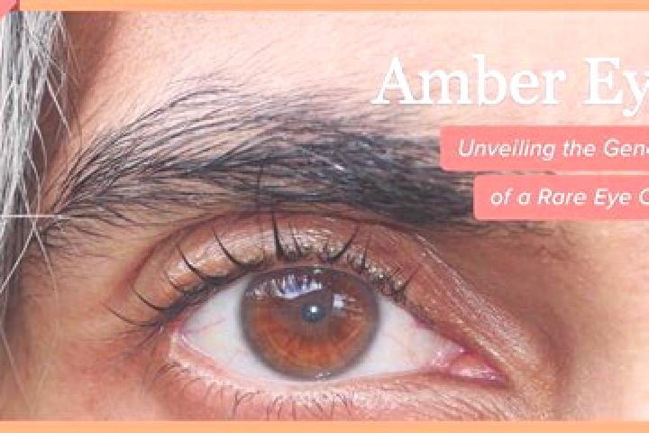 Chloe, 33, a black amber-eyed mixed companion based in Samaro. Offering Roleplay, Dinner Date, 69, Deep French Kissing, A-Level. Available for incall and out...