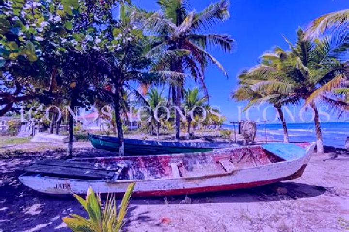 Chloe, 33 — Escort in Baracoa, Honduras