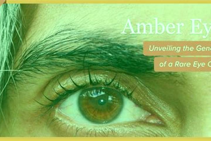 Chloe, 34, a black amber-eyed mediterranean companion based in Ibeto. Offering OWO, Striptease, Massage, CIM. Available for incall and outcall, overnight boo...