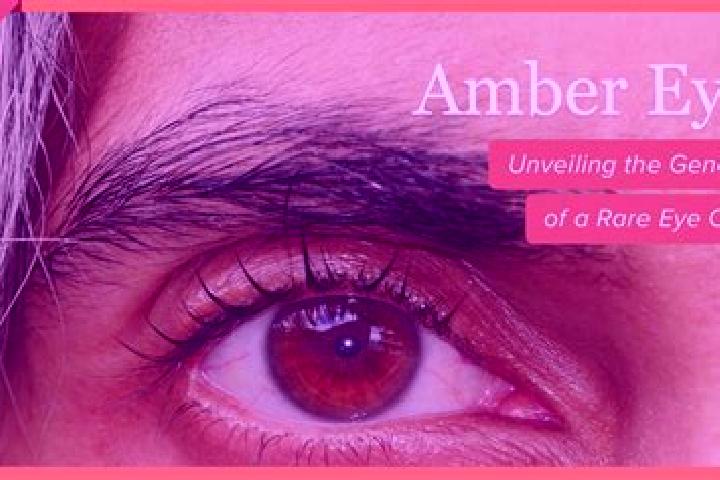 Chloe, 34, a red amber-eyed mixed companion based in Du-San Pya. Offering Tantra, Erotic Massage, Travel Companion, Girlfriend Experience. Available for inca...