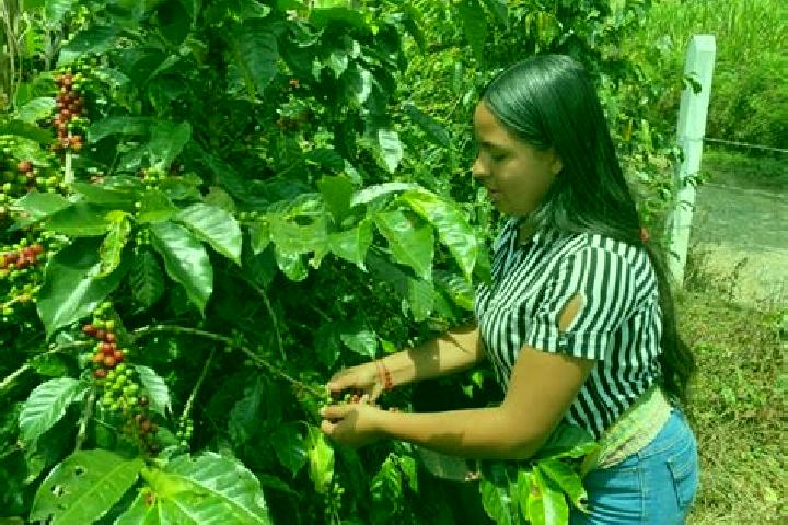 Chloe, 34 — Escort in Chitaraque, Colombia