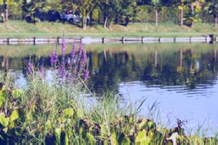 Chloe, 34 — Escort in Lago Verde, Brazil