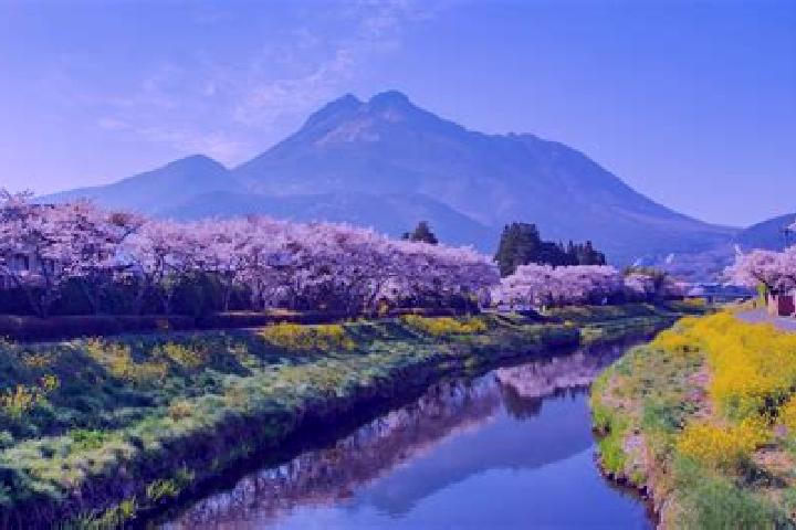 Chloe, 34 — Escort in Yufu, Japan