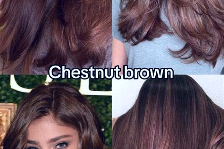 Chloe, 35, a chestnut brown-eyed ebony companion based in Buren. Offering Massage, Dinner Date. Available for incall and outcall, day and evening dates.