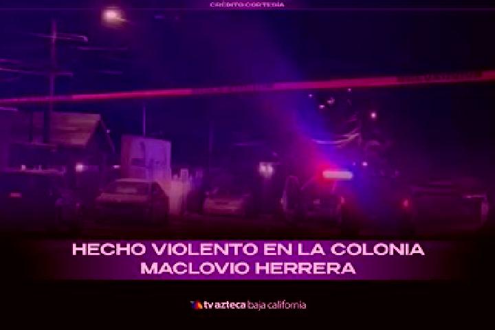 Chloe, 36 — Escort in Maclovio Herrera (Colonia Aviacion), Mexico