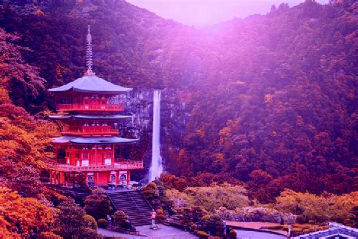 Chloe, 36 — Escort in Wakayama, Japan