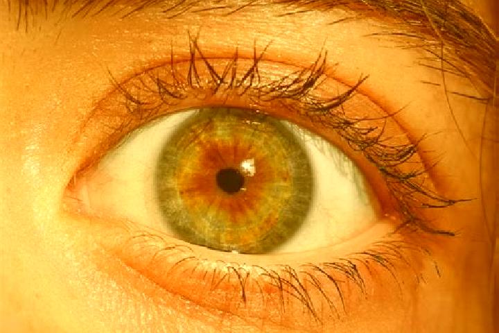 Chloe, 37, a red hazel-eyed slavic companion based in Zuccoli. Offering Tantra, Roleplay, Couples, Fetish. Available for incall and outcall, overnight bookin...