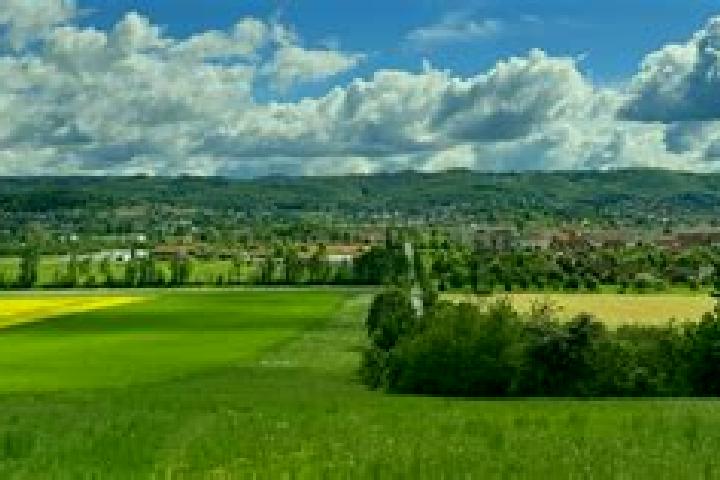 Chloe, 37 — Escort in Drohndorf, Germany