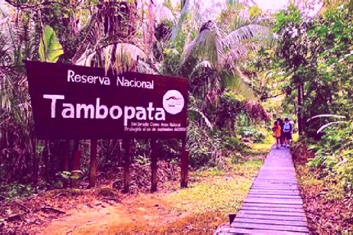 Chloe, 37 — Escort in Tambopata, Peru