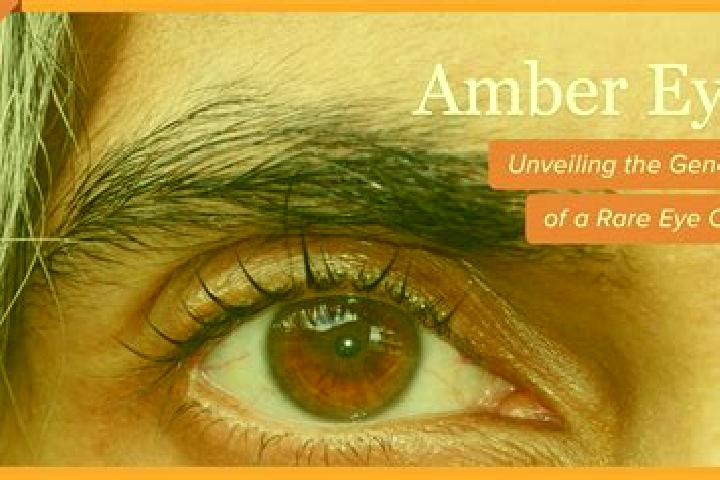 Chloe, 38, a red amber-eyed middle eastern companion based in Ribeirao Claro. Offering Girlfriend Experience, Striptease. Available for incall and outcall, o...