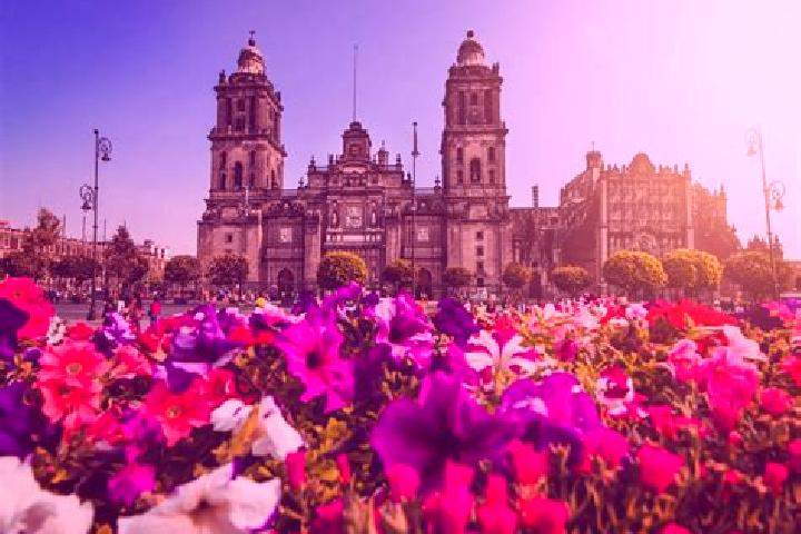 Chloe, 38 — Escort in Ciudad Tula, Mexico