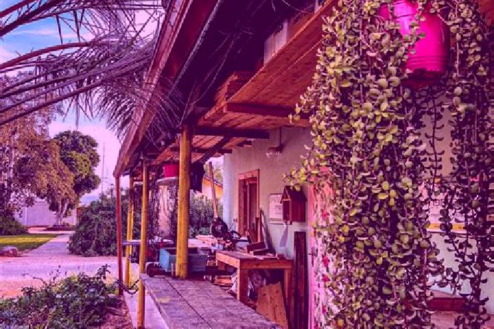 Chloe, 38 — Escort in Mevo Horon, Palestine