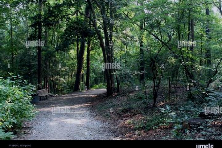 Chloe, 38 — Escort in Neuse Forest, United States