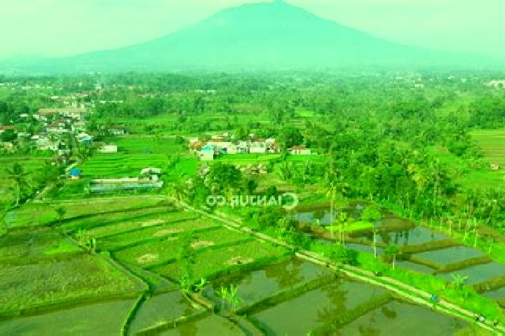 Chloe, 38 — Escort in Solokpandan, Indonesia