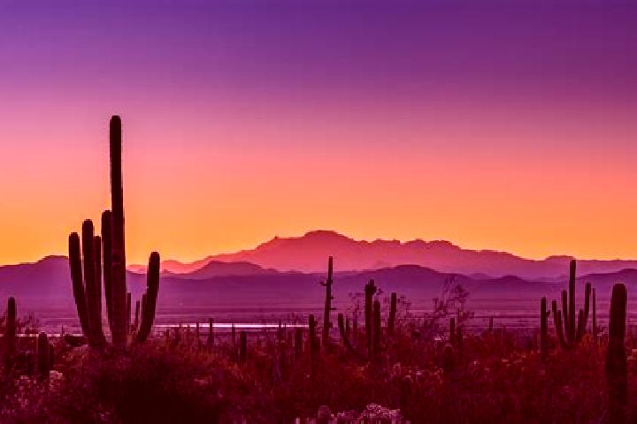 Chloe, 38 — Escort in South Tucson, United States