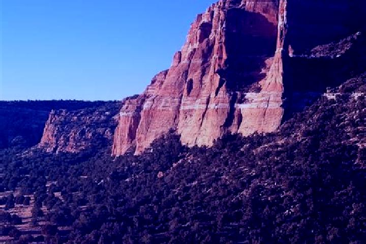 Chloe, 38 — Escort in Zuni Pueblo, United States