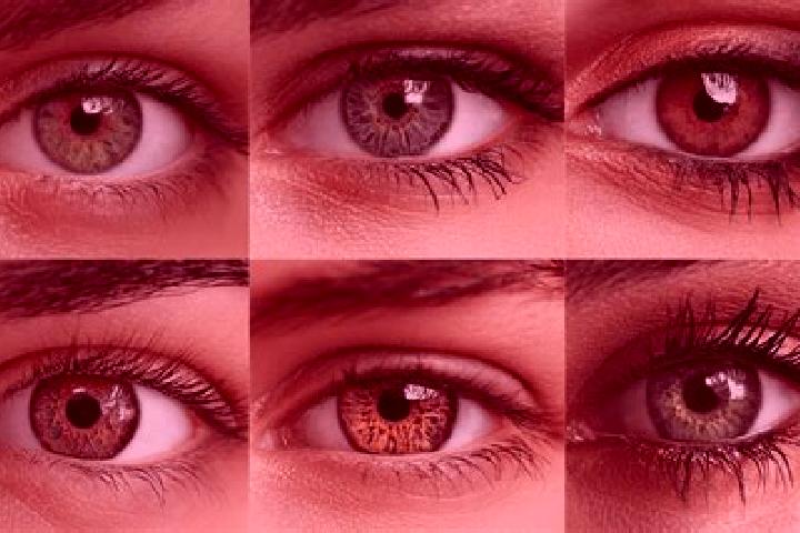 Chloe, 39, a red hazel-eyed mediterranean companion based in Gaugrehweiler. Offering Massage, Roleplay, OWO. Available for incall and outcall, overnight book...