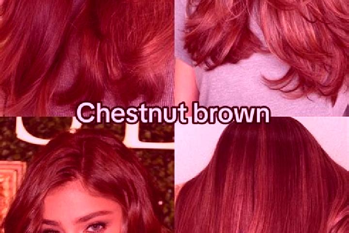 Clara, 20, a chestnut brown-eyed indian companion based in Meroux. Offering Prostate Massage, OWO, Girlfriend Experience. Available for incall and outcall, o...