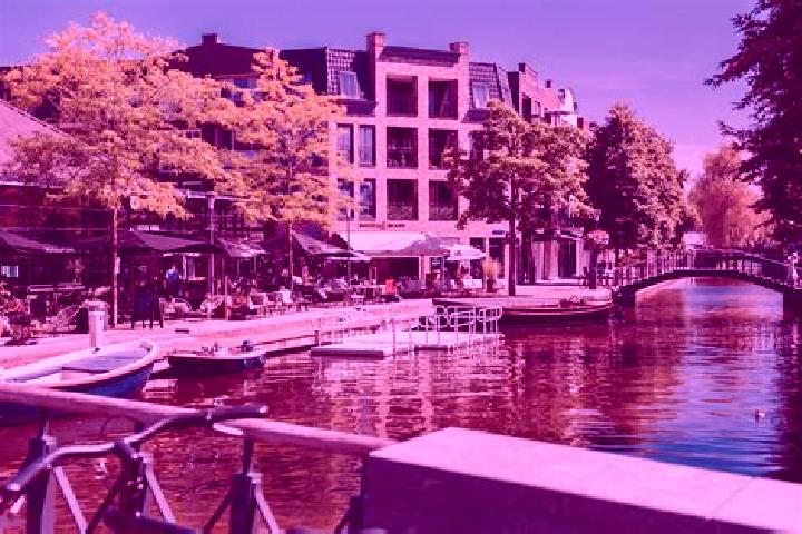 Clara, 20 — Escort in Maassluis, Netherlands
