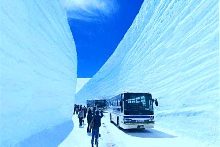 Clara, 20 — Escort in Tateyama, Japan