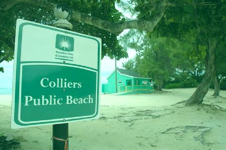 Clara, 21 — Escort in Colliers, Cayman Islands
