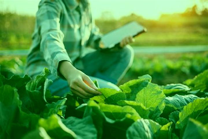 Clara, 21 — Escort in Ingeniero Agronomo Alfredo Mones Quintela, Uruguay