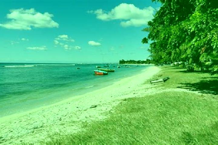 Clara, 22 — Escort in Pointe aux Piments, Mauritius
