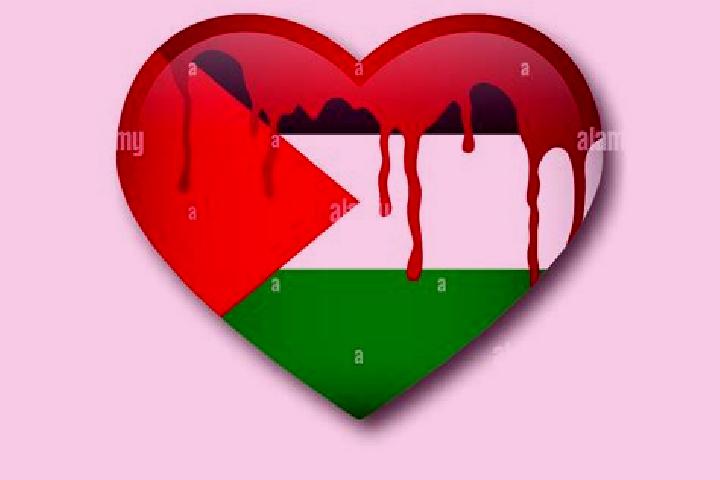 Clara, 22 — Escort in Qedumim, Palestine
