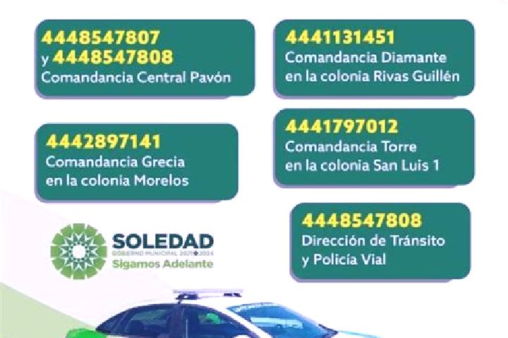 Clara, 22 — Escort in Soledad de Graciano Sanchez, Mexico
