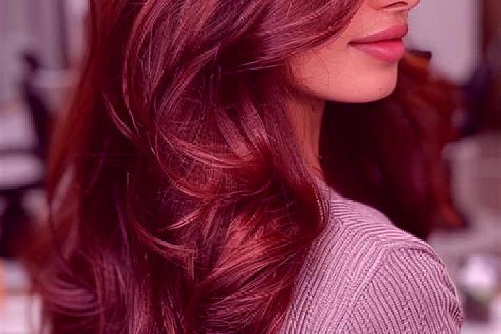 Clara, 24, a auburn brown-eyed indian companion based in Pfreimd. Offering Erotic Massage, Domination, Tantra, 69. Available for incall and outcall, day and ...