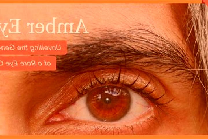 Clara, 24, a red amber-eyed caribbean companion based in Bukovci. Offering BDSM, Couples. Available for incall and outcall, day and evening dates.