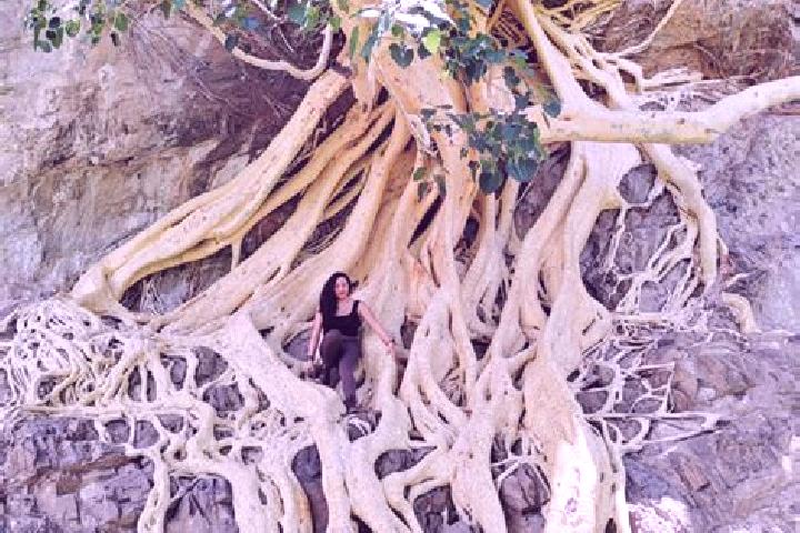 Clara, 24 — Escort in Amate Amarillo, Mexico