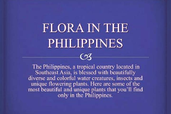 Clara, 24 — Escort in Camp Flora, Philippines