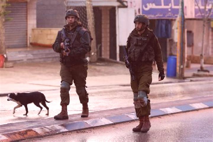 Clara, 24 — Escort in Huwara, Palestine