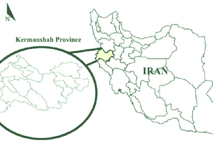 Clara, 24 — Escort in Khalil Shahr, Iran