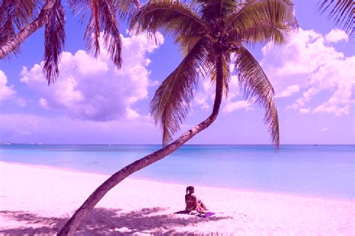 Clara, 24 — Escort in Seven Miles, Cayman Islands