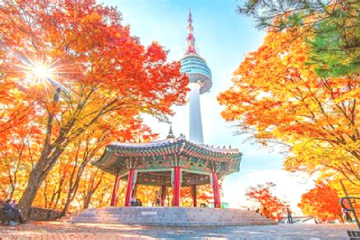 Clara, 24 — Escort in Sindo, North Korea