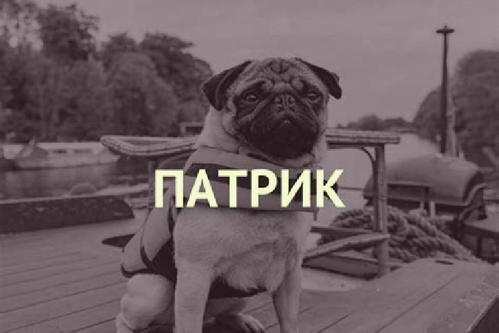 Clara, 24 — Escort in Staryy Urukh, Russia