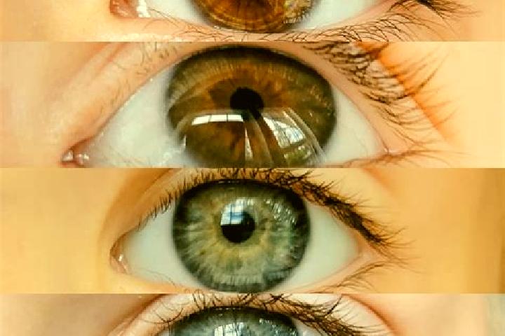Clara, 25, a chestnut dark-eyed middle eastern companion based in Lono. Offering Dinner Date, Duos, Tantra. Available for incall and outcall, overnight booki...