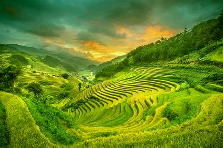 Clara, 25 — Escort in A Yun Pa, Vietnam