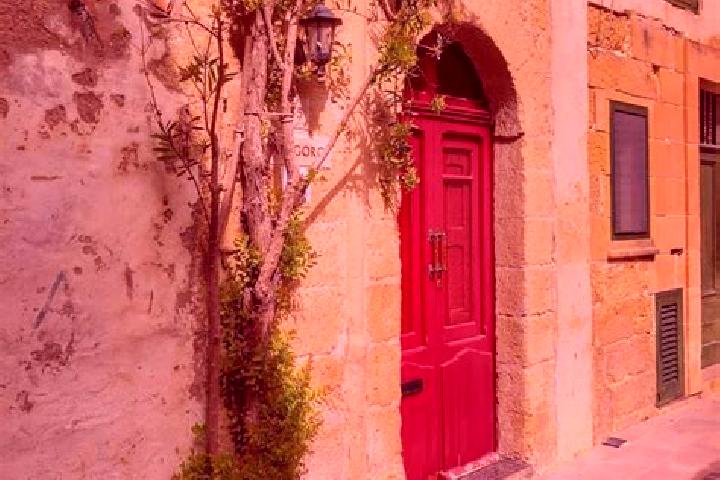 Clara, 25 — Escort in Kirkop, Malta