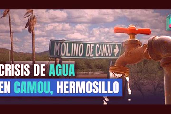 Clara, 25 — Escort in Molino de Camou, Mexico