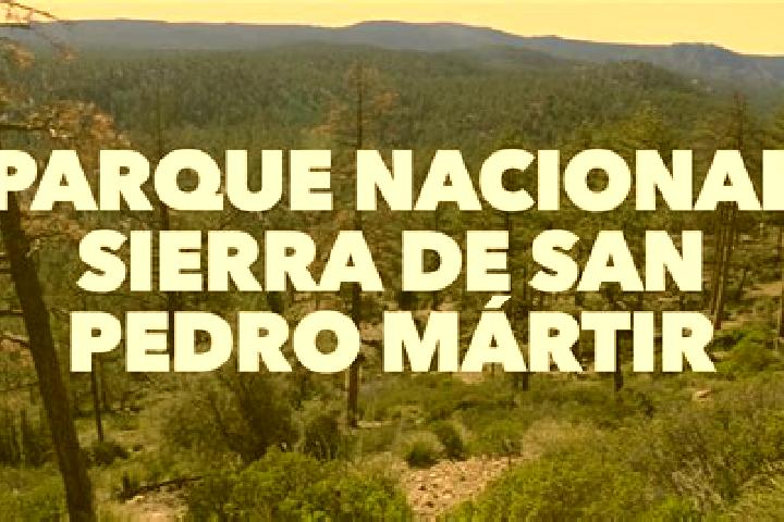Clara, 25 — Escort in San Pedro Martir, Mexico