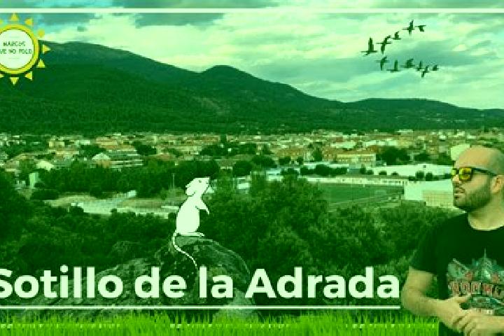 Clara, 25 — Escort in Sotillo de la Adrada, Spain
