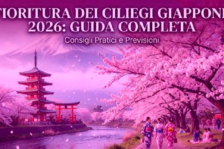 Clara, 26 — Escort in Cilegi, Indonesia