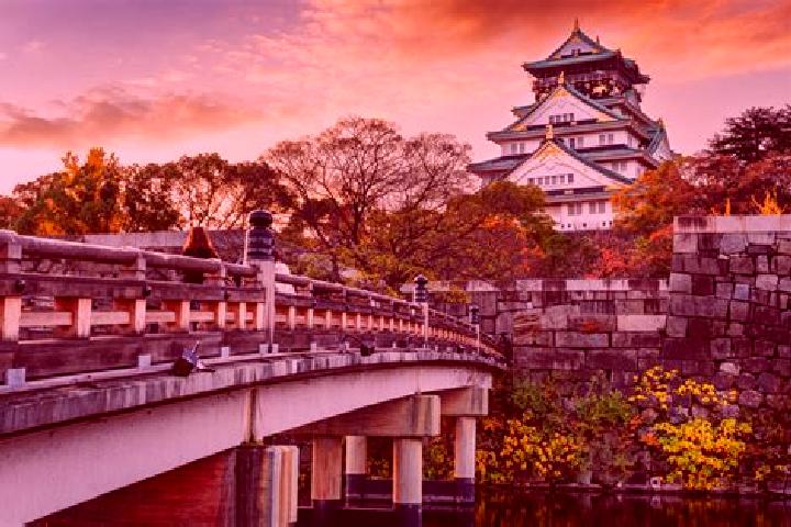 Clara, 26 — Escort in Kitahama, Japan