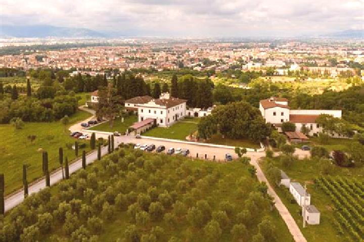 Clara, 26 — Escort in Sticciano Scalo, Italy