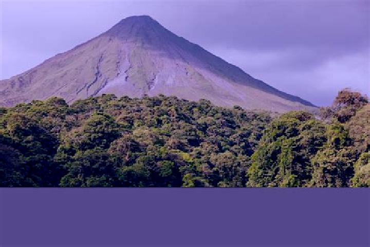 Clara, 27 — Escort in Arenal de Alvarez (Arenal de Paco), Mexico