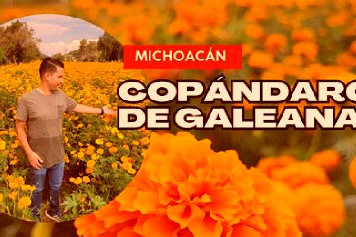 Clara, 27 — Escort in Copandaro (Copandaro del Cuatro), Mexico