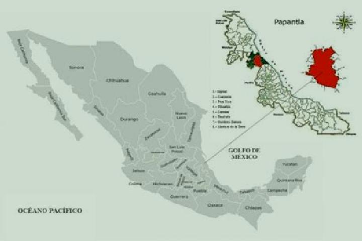 Clara, 27 — Escort in Papantla de Olarte, Mexico